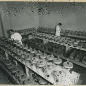 Army Medical Mouse School Research