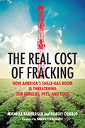 The Real Cost of Fracking book cover
