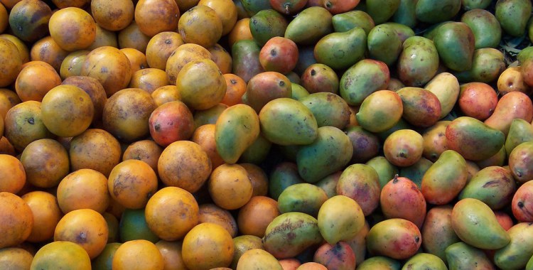Mangoes from Mexico