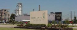 Monsanto-Luling-Plant