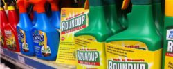 Roundup