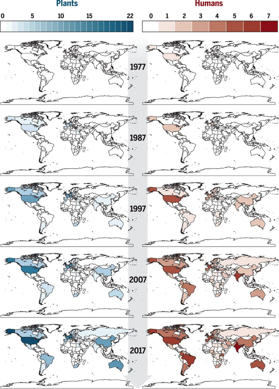 Number of peer-reviewed reports of resistance to azole fungicides for plants (in blue) and in humans (in red) for pathogens Aspergillus fumigatus, Candida albicans, C. auris, C. glabrata, Cryptococcus gattii, and Cryptococcus neoformans. From Fisher (2018).