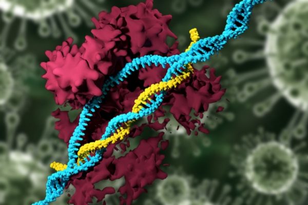 CRISPR Enzyme on DNA