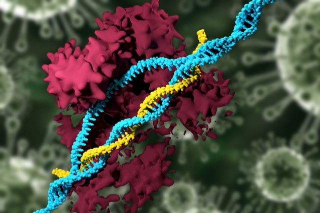 CRISPR Enzyme on DNA
