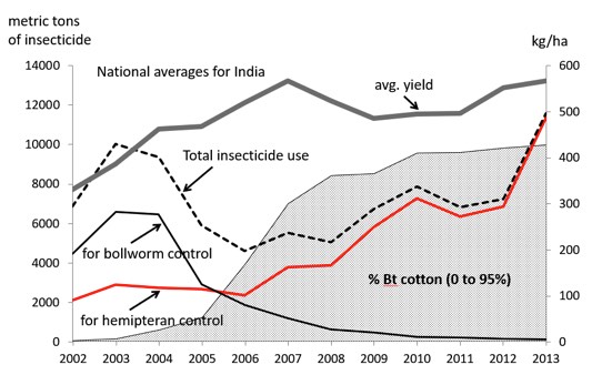 The Failure of GMO Cotton In India – Independent Science News