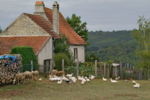 small farm in france