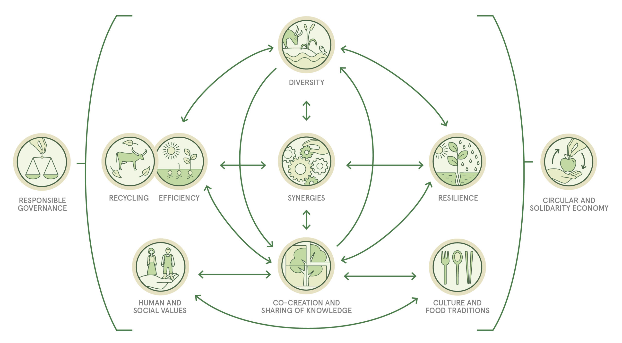 The 10 elements of agroecology