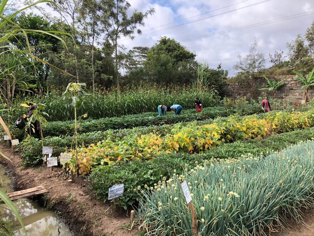 Farmers practicing agroecology in Kenya