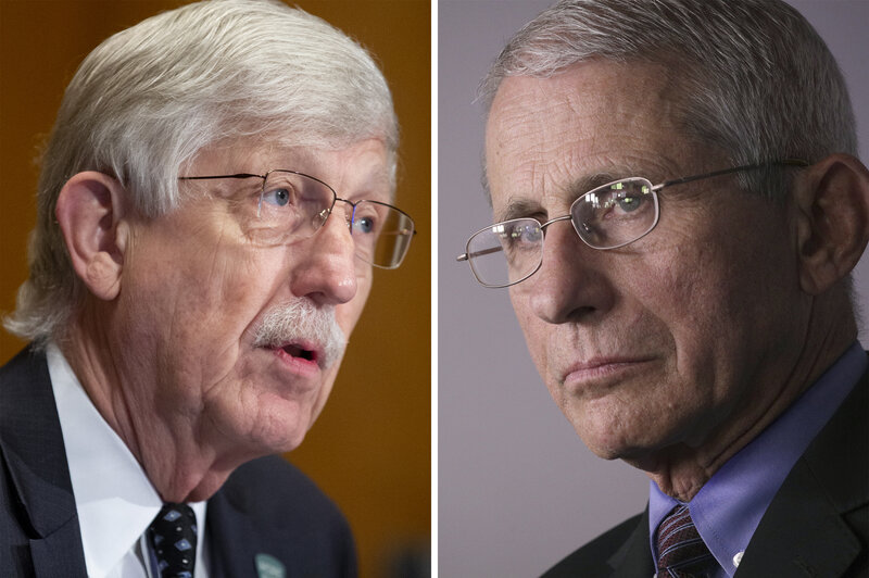 Francis collins and anthony fauci