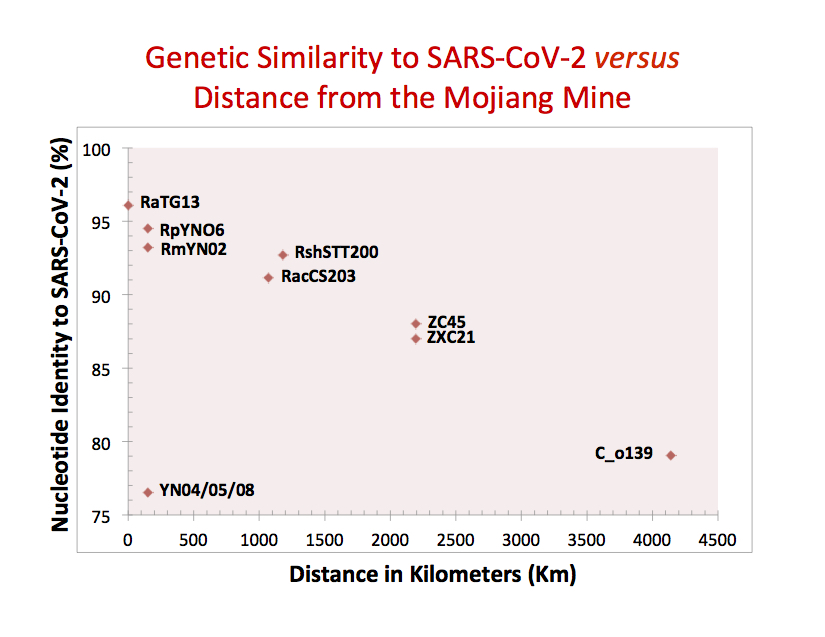 Fig. 2. Percent identity to SARS-CoV-2 vs Distance from Mojiang